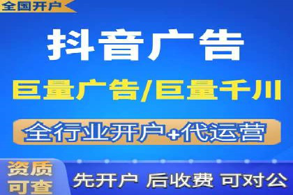 百度广告投放策略与效果评估案例
